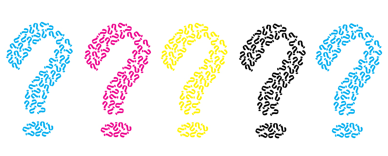 Answer the Question